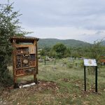 Poludnevni izlet u Perušiću: Samograd, Grabovača i poučne staze