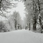 ZIMSKI UVJETI U PEĆINSKOM PARKU GRABOVAČA